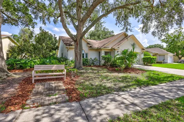 1121 BLOOM HILL AVE, Valrico, FL 33596