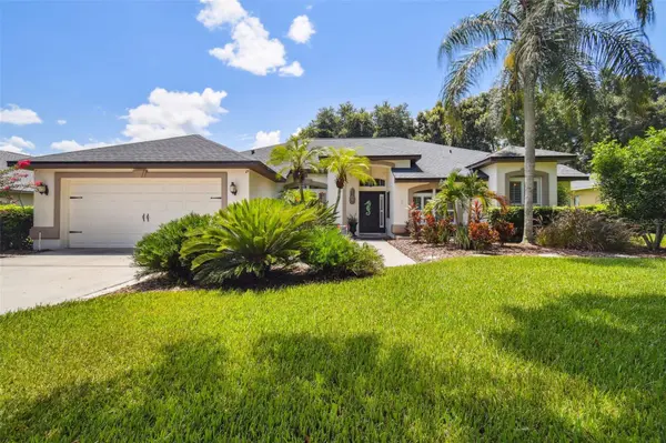 3827 SPRUCE PINE DR, Valrico, FL 33596