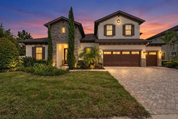 1404 HAMLIN RIDGE AVE, Valrico, FL 33596