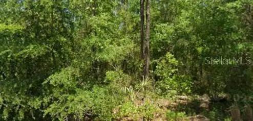 21425 RAINBOW LAKES BLVD, Dunnellon, FL 34431