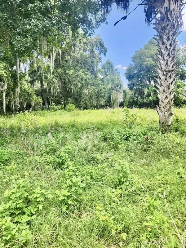3072 N WHEATON PT,  Hernando,  FL 34442