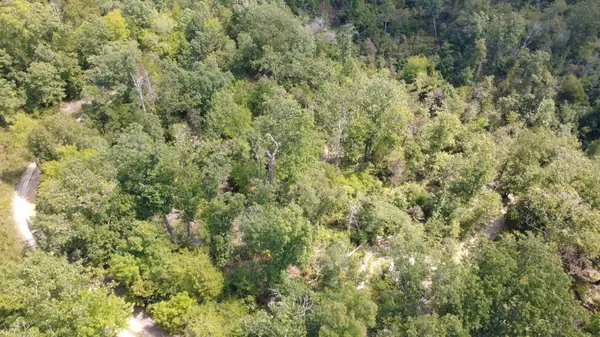 0 Hogg Hill Rd, Lobelville, TN 37097