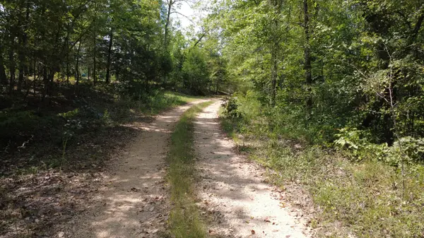 0 Hogg Hill Rd, Lobelville, TN 37097