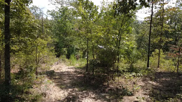 0 Hogg Hill Rd, Lobelville, TN 37097