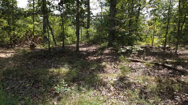 0 Hogg Hill Rd, Lobelville, TN 37097