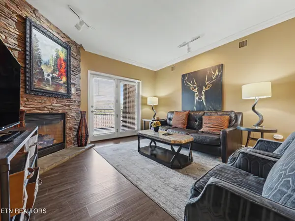 215 Woliss Lane #303, Gatlinburg, TN 37738