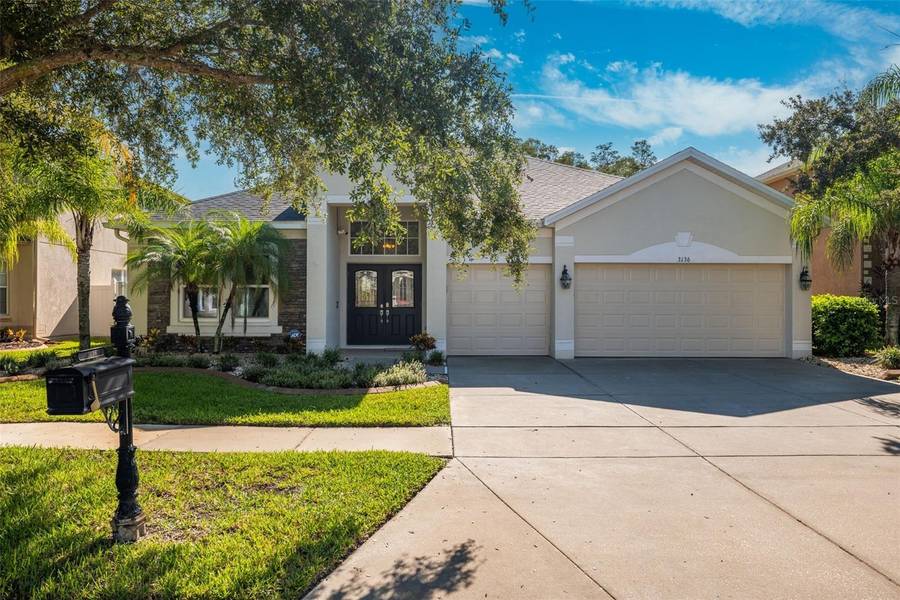 3136 CHESSINGTON DR, Land O Lakes, FL 34638