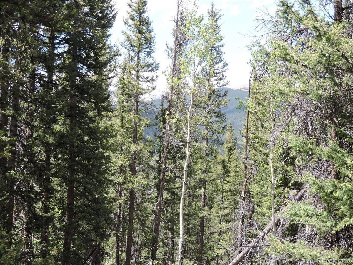 0 Georgia Pass Lookout, Jefferson, CO 80456