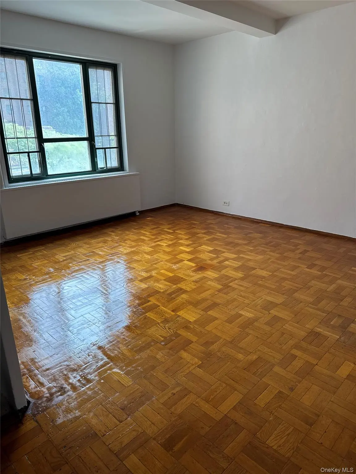 1380 Virginia AVE #3H, Bronx, NY 10462