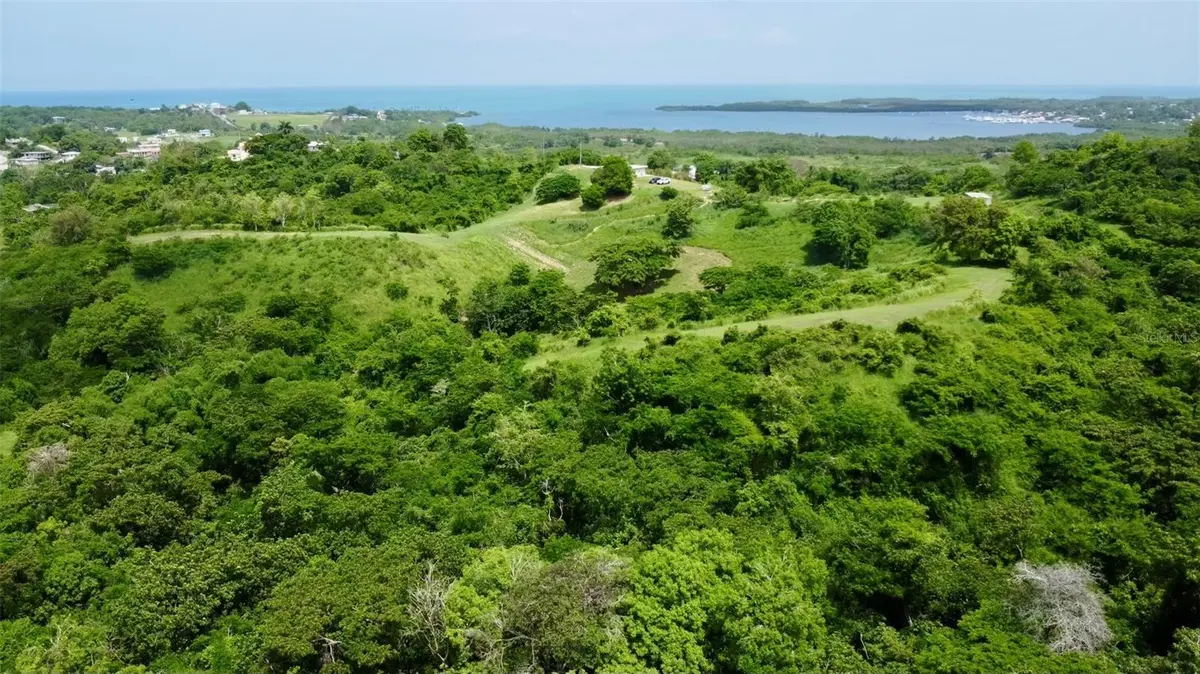 CARR 307, Cabo Rojo, PR 00623