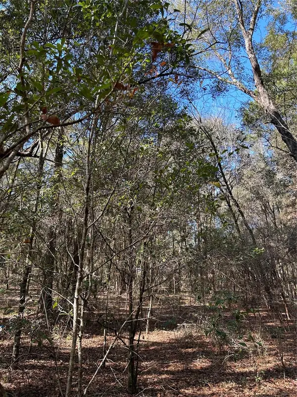 Lot 26 SW GRANDVIEW AVE, Dunnellon, FL 34431
