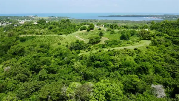CARR 307, Cabo Rojo, PR 00623