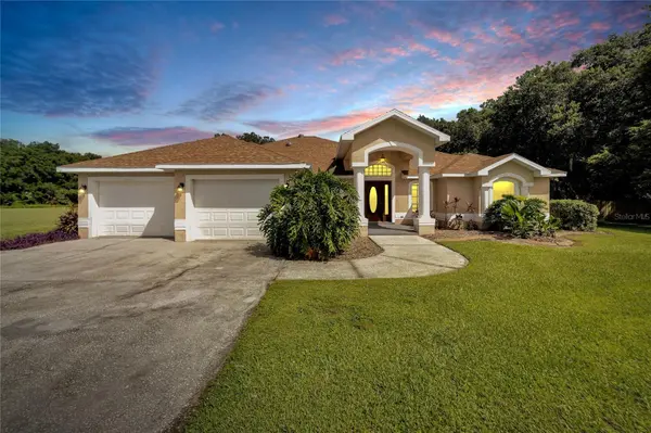 10318 LITTLE CREEK PL,  Dover,  FL 33527
