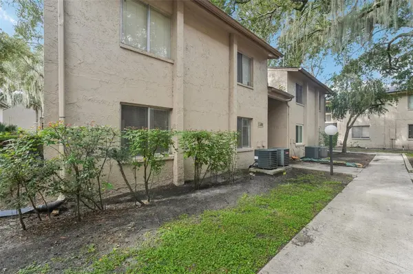 5501 LOBLOLLY CT #163B, Tampa, FL 33617