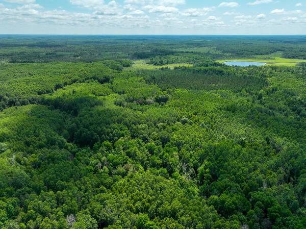 TBD Sago 5, Swan River, MN 55784
