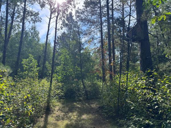 TBD 170th ST, Akeley, MN 56433