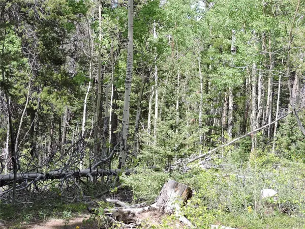 00 Georgia Pass Lookout, Jefferson, CO 80456