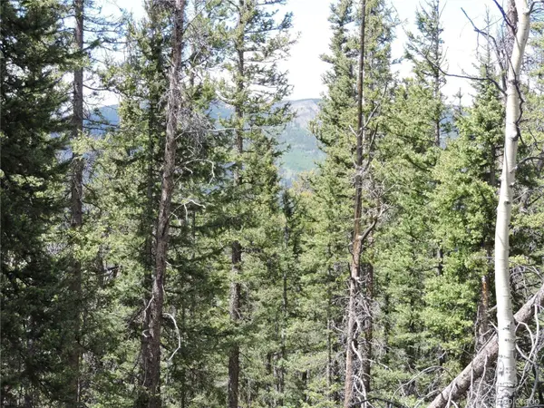 00 Georgia Pass Lookout, Jefferson, CO 80456