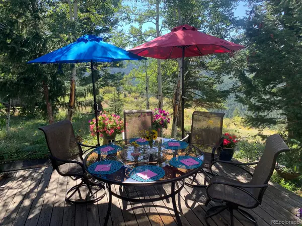 129 Sky View DR, Nederland, CO 80466