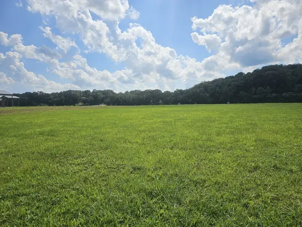 0 Hardin Bottom River Rd, Clifton, TN 38425