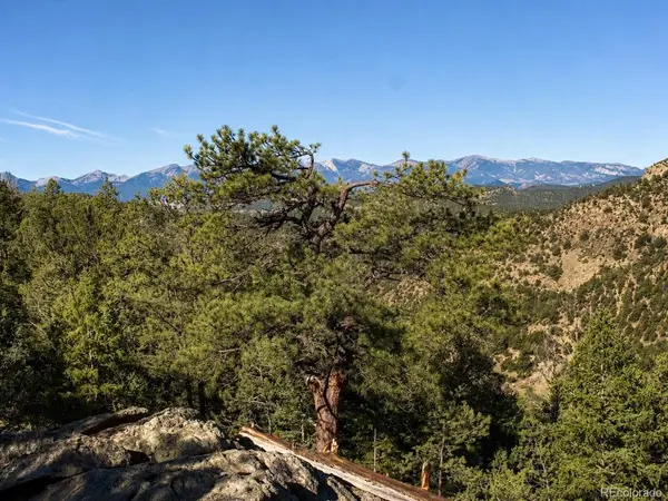 11175 County Road 255, Westcliffe, CO 81252