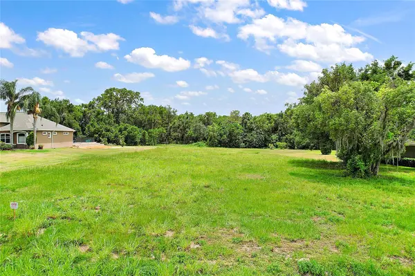 SE 156TH LN, Weirsdale, FL 32195