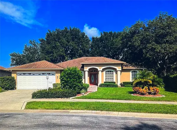 1235 ALANBROOKE ST, Trinity, FL 34655