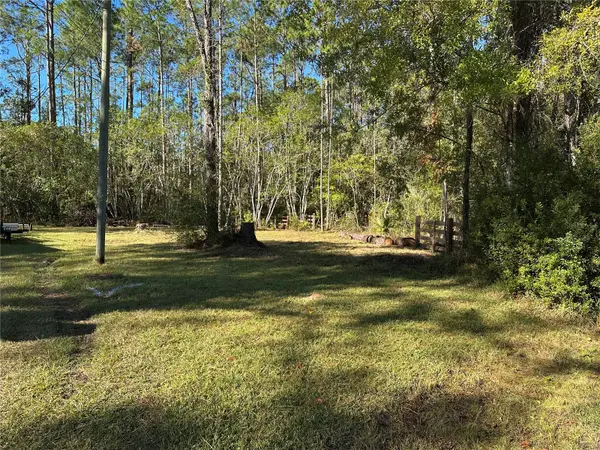 MAXWELL ST, Astor, FL 32102
