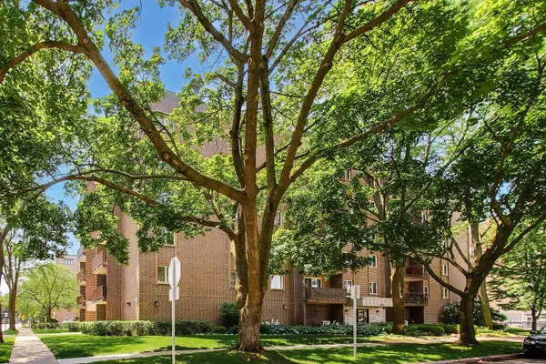 1365 Ashland AVE #501, Des Plaines, IL 60016