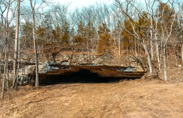 000 Pool Holler Cave RD, Rolla, MO 65401