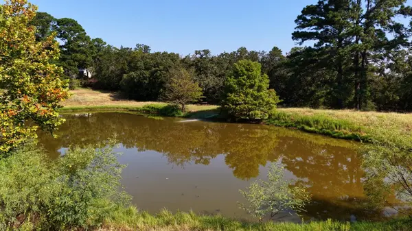 218 Little Ranch RD, Red Rock, TX 78662