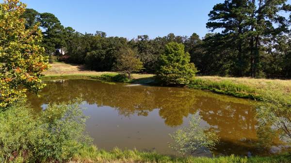 218 Little Ranch RD, Red Rock, TX 78662