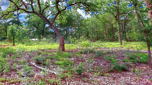 200 Cheyenne DR, Smithville, TX 78957