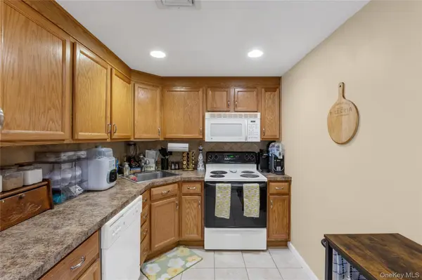 242 Maple AVE #319, Westbury, NY 11590
