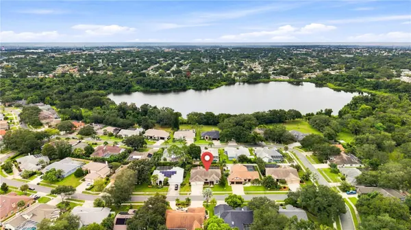 679 LITCHFIELD LN, Dunedin, FL 34698