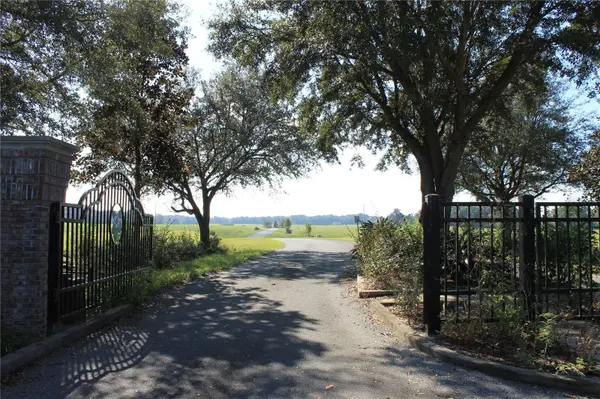 Lot 21 NW 31ST AVE, Bell, FL 32619