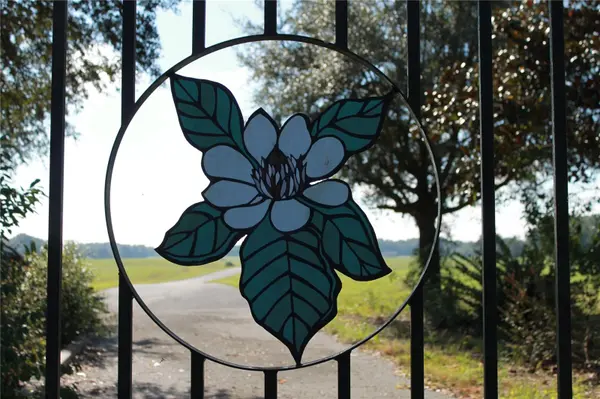 Lot 21 NW 31ST AVE, Bell, FL 32619
