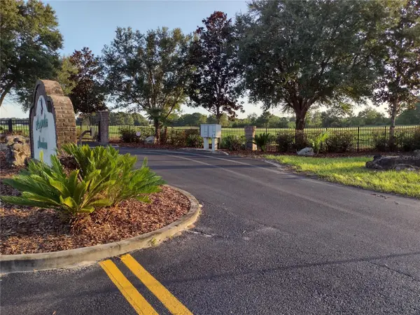 Lot 21 NW 31ST AVE, Bell, FL 32619