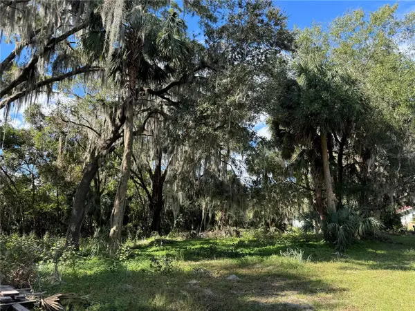 00 NW 217TH ST, Micanopy, FL 32667