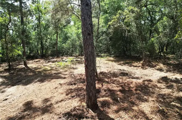 3094 E SCOFIELD ST, Inverness, FL 34453