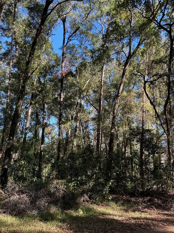 TBA SW 91ST LOOP, Dunnellon, FL 34432