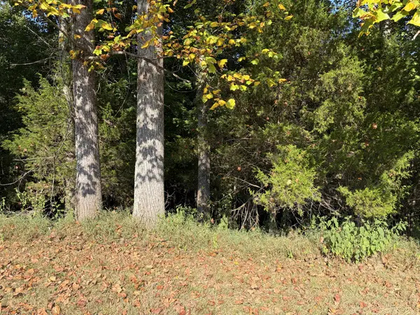 0 Countrywood Ln, Gainesboro, TN 38562