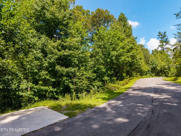 445 Chetola Tr, Townsend, TN 37882
