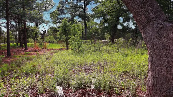 200 Cheyenne DR, Smithville, TX 78957