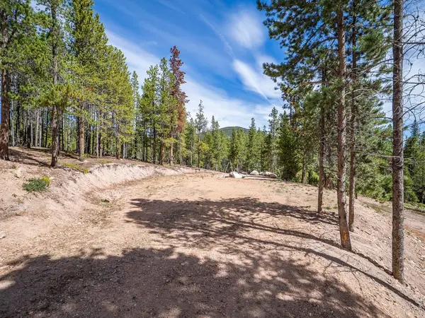 230 Hatchetumi, Red Feather Lakes, CO 80545