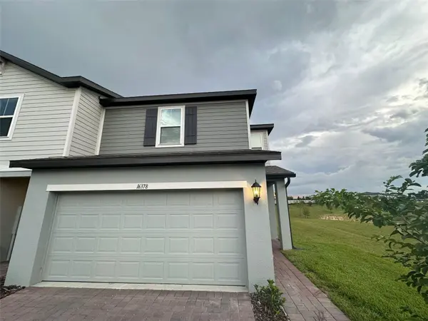 16378 BIRD OF PARADISE AVE,  Clermont,  FL 34714