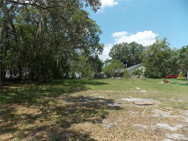 1511 N SIMPSON ST, Mount Dora, FL 32757