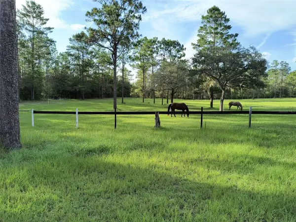 7471 W QUIANA LN,  Dunnellon,  FL 34433