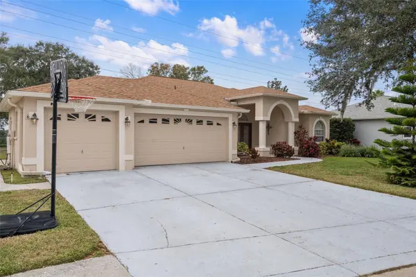 2342 EDELWEISS LOOP, Trinity, FL 34655