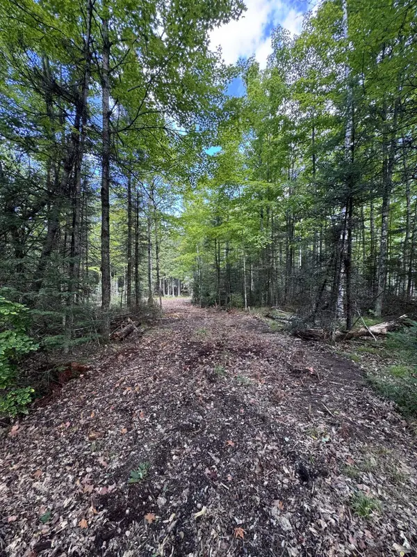 W5700 PINEWOOD DR, Niagara, WI 54151
